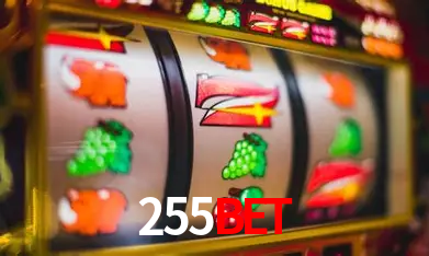 A Experiência Imersiva dos Cassinos Ao Vivo no 255bet